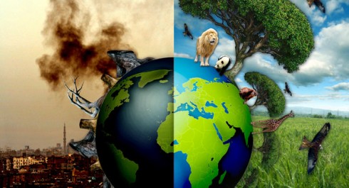 &nbsp; Hello Everyone, My name is Zornitza Hadjitodorova and I am the administrator of Our Breathing Planet. I am Bulgarian and currently live in Dubai, United Arab Emirates, where I...