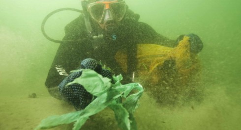 What does ocean conservation mean to you and how much are you willing to give up in order to conserve our oceans? Do you know what role oceans play in each...