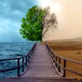 Communicating Climate Change – Where did Scientists go Wrong? What a fantastic way of explaining where do all communication on climate change get it all wrong? In an era when people get overwhelmed by the amount of...