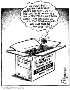 polyp_cartoon_gmo_tomatoes