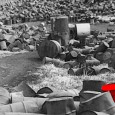Green is the New Red: Environmental Activists under Attack As an environmental activist, I could not help but share with you this great interview on Grist. At a time when everyone is going green, most people are unaware that the...