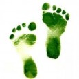Transitional Ethics and Going Green Probably most greenies at some point face the dilemma between the lesser of two evils. Do all “green” people walk the...
