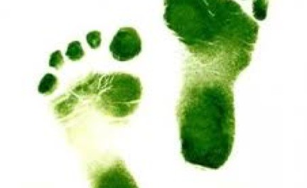&nbsp; &nbsp; &nbsp; &nbsp; &nbsp; &nbsp; &nbsp; &nbsp; &nbsp; Probably most greenies at some point face the dilemma between the lesser of two evils. Do all “green” people walk the...