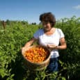 Organic Farming: More Profitable Long-Term Organic farming is known to be environmentally sustainable, but can it be economically sustainable also? Well, great news for all organic food lovers and all farmers – yes, it can!...
