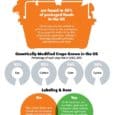 What are GMOs October is GMO Awareness Month and many people still do not know exactly what GMOs are. This time, however, I would like to show you a fantastic infographic from Nature’s Path...