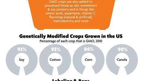 October is GMO Awareness Month and many people still do not know exactly what GMOs are. This time, however, I would like to show you a fantastic infographic from Nature’s Path...