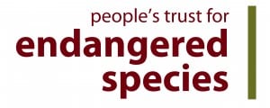 peoples-trust-for-endangered-species-logo-300x120