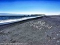 Our Breathing Planet in Iceland