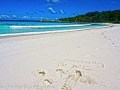 Our Breathing Planet in Seychelles