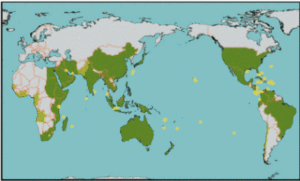 Coral Bleaching Hot Spots