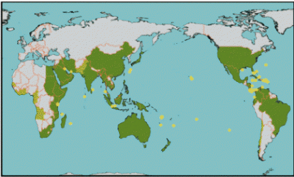 Coral reefs Bleaching Hot Spots