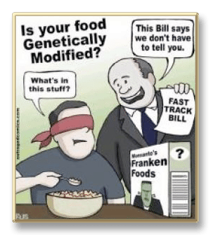 Genetically modified organisms cartoon