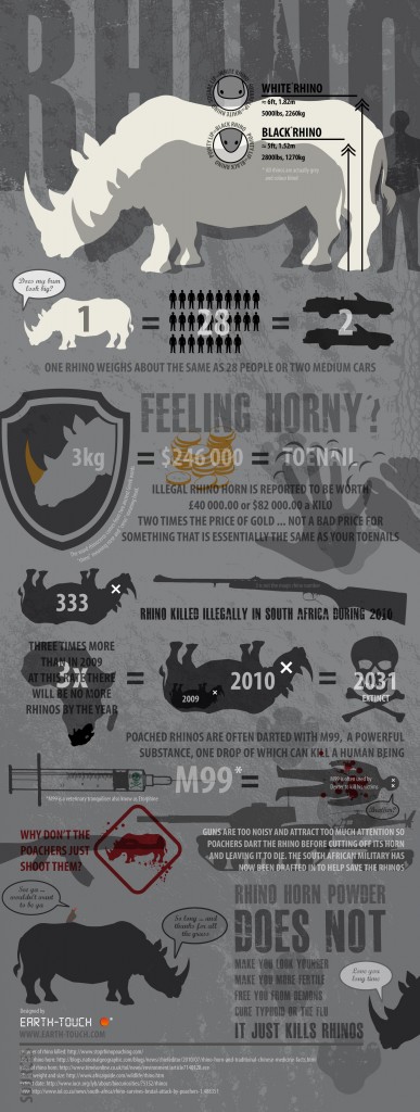 Who is Killing Africa's Rhinos