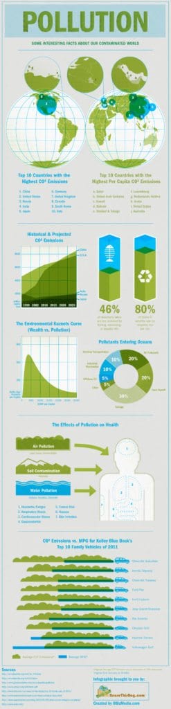 Pollution Infographic