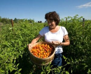 organic farming profitability