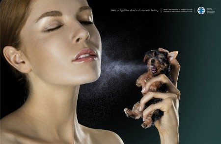 powerful animal ad campaigns