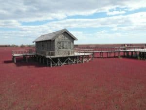 Red Beach