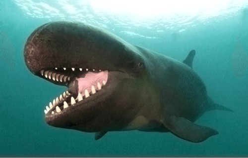 10 Dazzling Denizens of the Depths