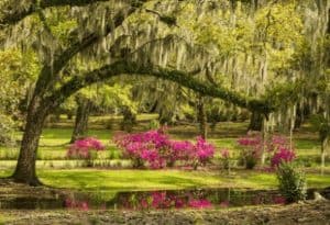 Avery Island