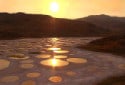 Spotted Lake