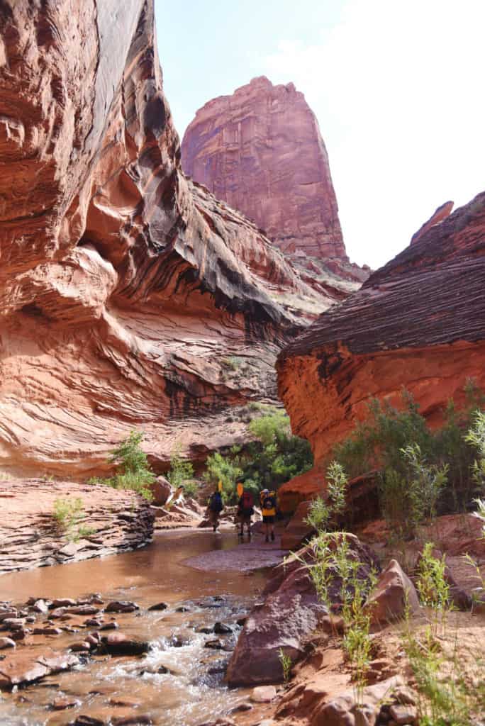 Coyote Gulch