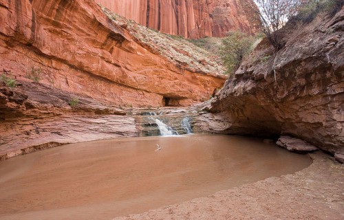 North American Gulches and Canyons 