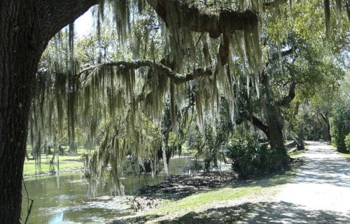 Avery Island