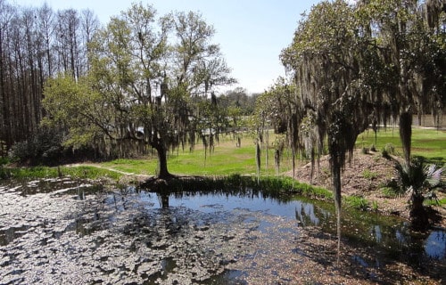 Avery Island