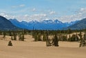 Carcross Desert