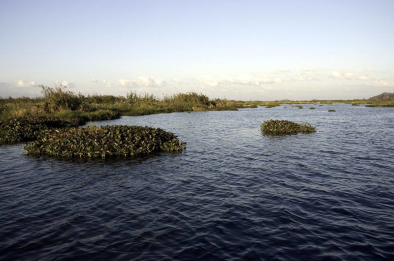 Loktak Lake