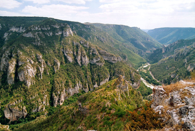 Gorges du Tarn