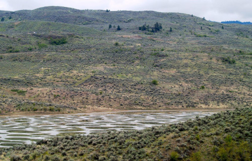 Spotted Lake