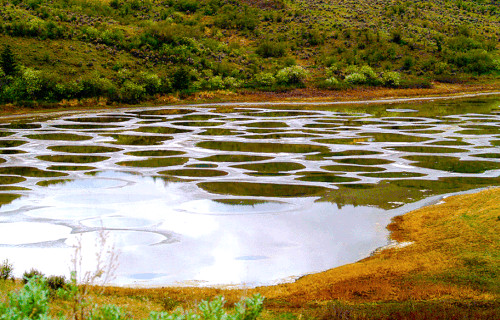 Spotted Lake