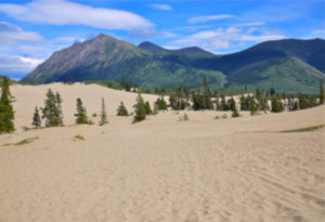 Carcross Desert