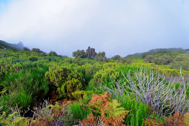 Madeira