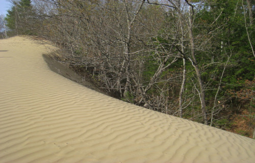 Maine Desert