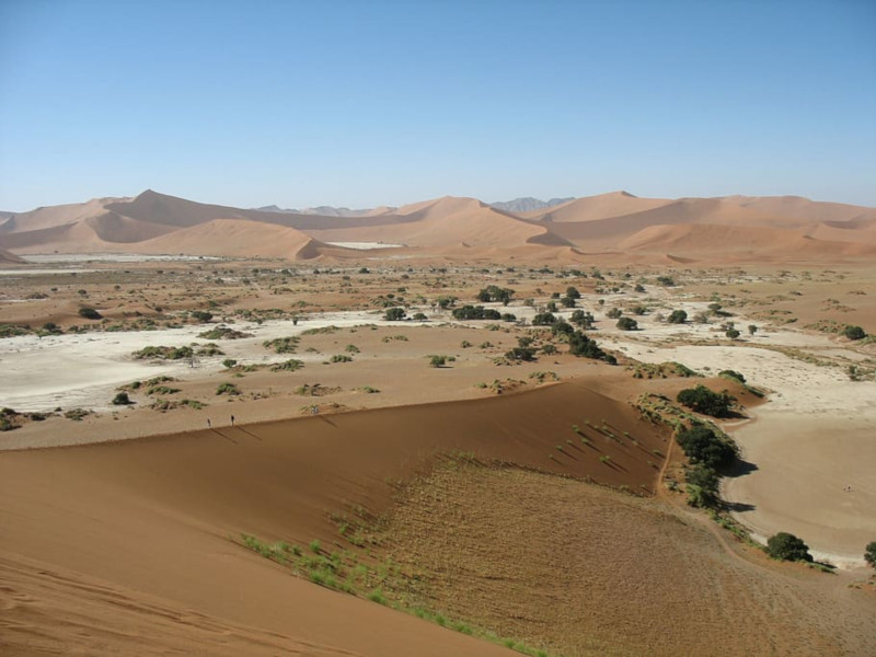 Namib Desert