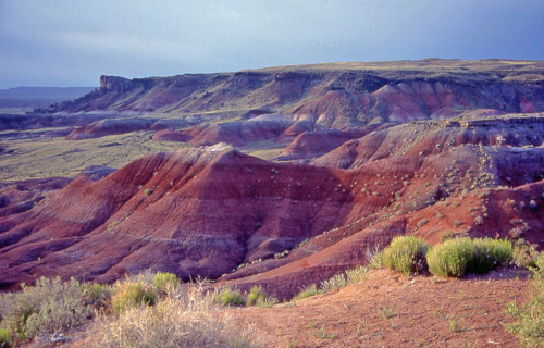 north american desert