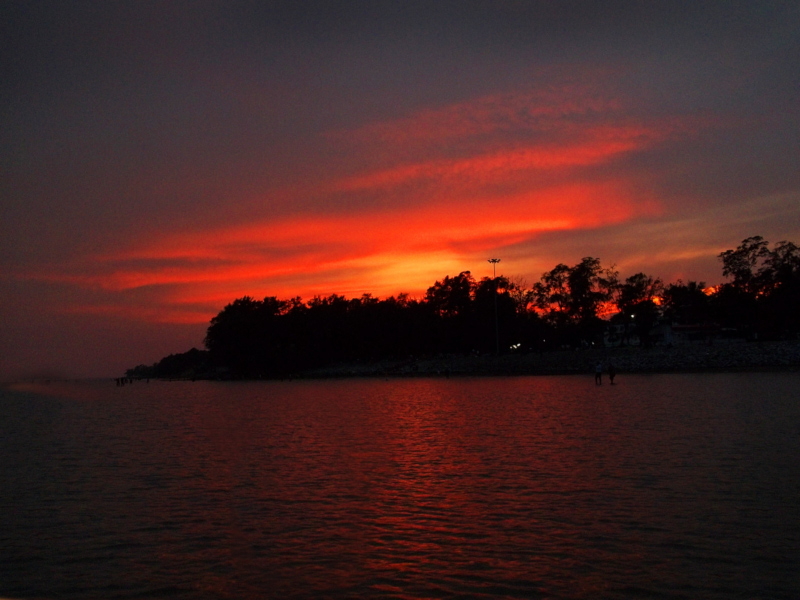 Chandipur Beach l Utterly Astounding Tides - Our Breathing Planet