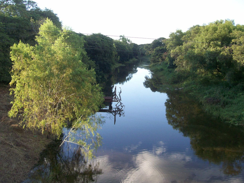 Rio Negro River