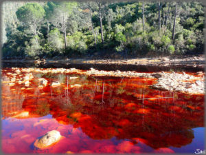 Rio Tinto