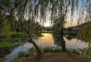 Lake Posta Fibreno