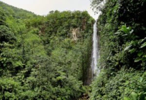 Carbet Falls