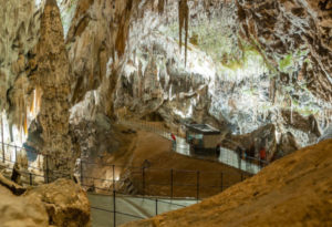 Postojna Cave