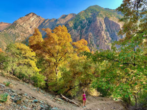 Big Cottonwood Canyon l Picturesque - Our Breathing Planet