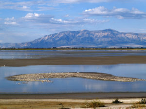 Great Salt Lake l Huge and Dazzling - Our Breathing Planet