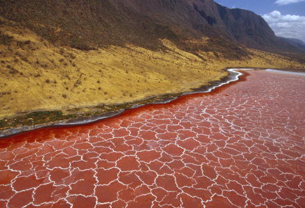 Lake Natron