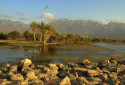 Socotra