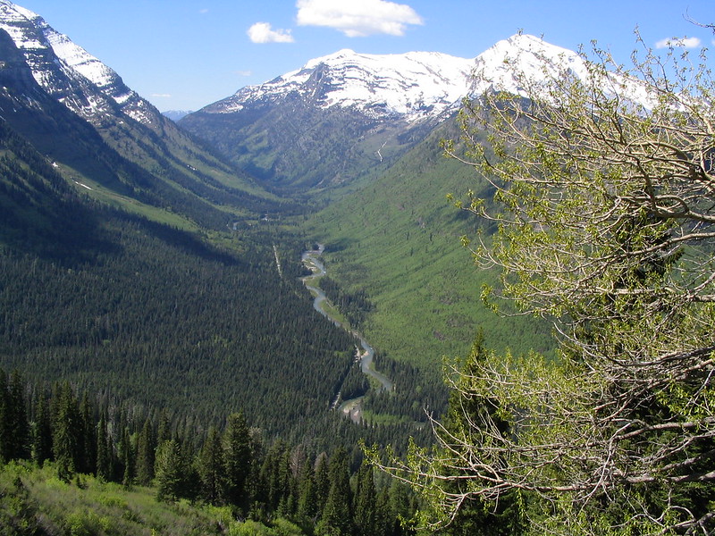 Triple Divide Peak (Montana) - Wikipedia