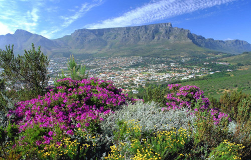 Table Mountain